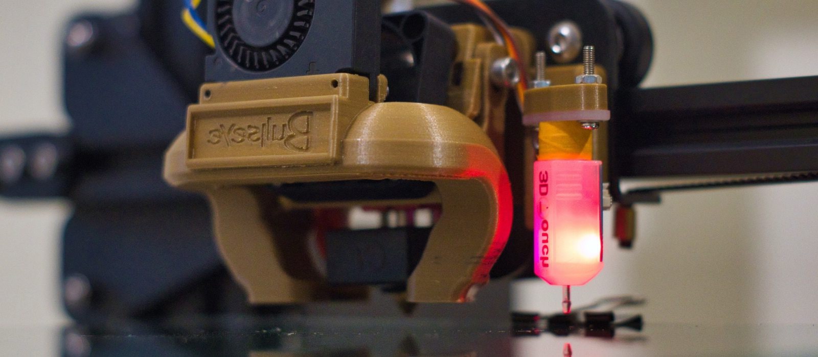 pexels-mushroom-4485456-min